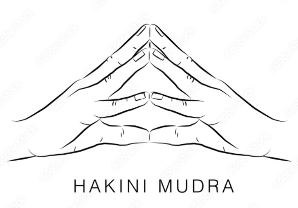 Haikini mudra to help in balancing Manipura